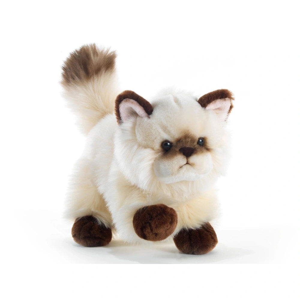 Thaytoo Little Cat Plush 21 cm features soft white fur, brown paws, a black nose, and a white tail with a brown tip.