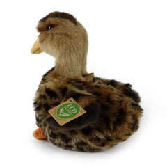 Rappa - Canard Colvert Écologique en Peluche - Peluches - +0M - RAP - ECO - DUCK - 19 - 69525066