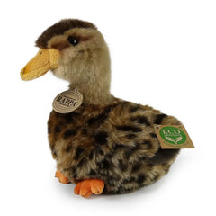 Rappa - Canard Colvert Écologique en Peluche - Peluches - +0M - RAP - ECO - DUCK - 19 - 69525066