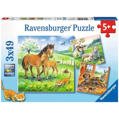 Ravensburger - Temps de câlins - 3x49 pièces - Puzzles