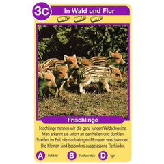 Ravensburger - Tierquartett Tierkinder - Card Game