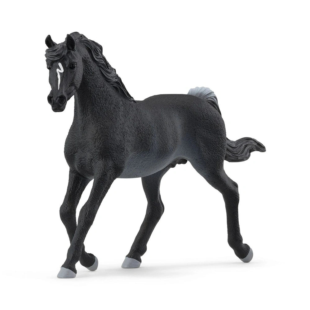 Schleich - Horse Club - Arabian Stallion - Action & Toy Figures - 13981