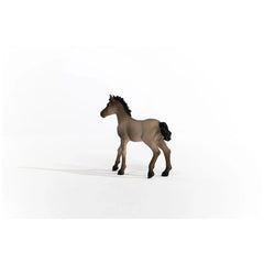 Schleich - Horse Club - Poulain Criollo Définitif - Figurines d'Action et de Jouets - 13949