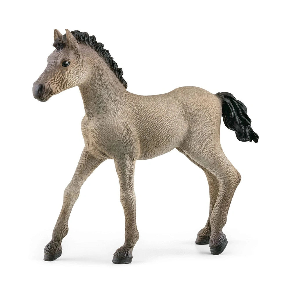 Schleich - Horse Club - Poulain Criollo Définitif - Figurines d'Action et de Jouets - 13949