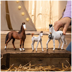 Schleich - Horse Club - Jument Marwari - Figurines d'action et de jouets - 14897