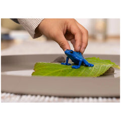 Schleich - Wild Life - Grenouille Flèche Bleue - Figurines d'Action et de Jouets - 14864