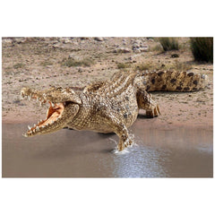 Schleich - Wild Life - Crocodile - Figurines d'action et de jouets - 14736