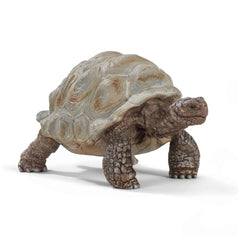 Schleich - Wild Life - Tortue Géante - Figurines d'Action et de Jouets - 14824