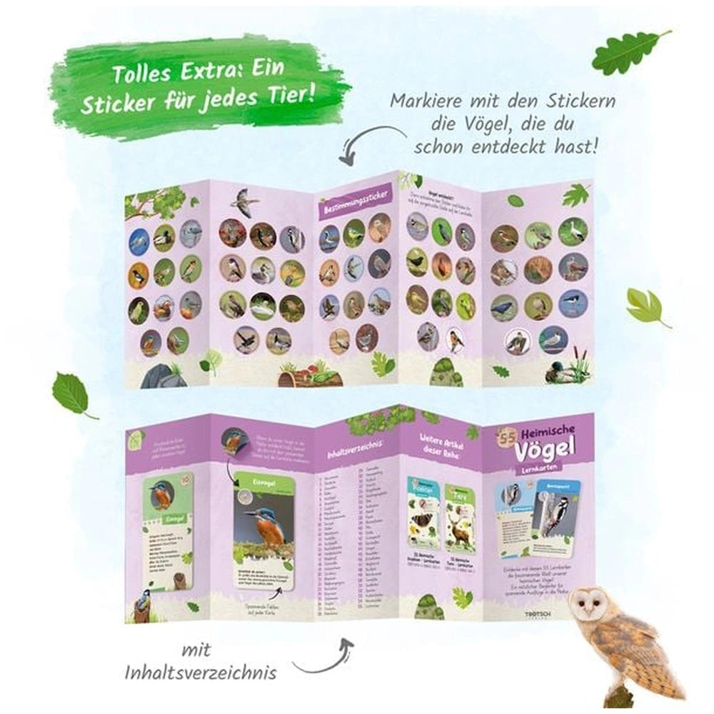 TROTSCH Learning Cards book on native birds features a green cover, open pages, and a small owl perched nearby.